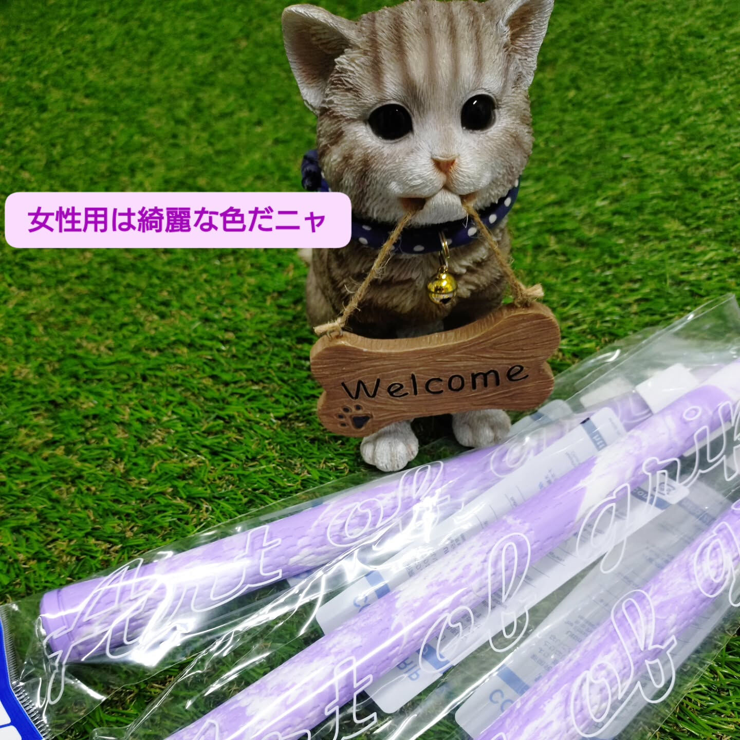 今日は生憎、1日残念なお天気になってしまいました