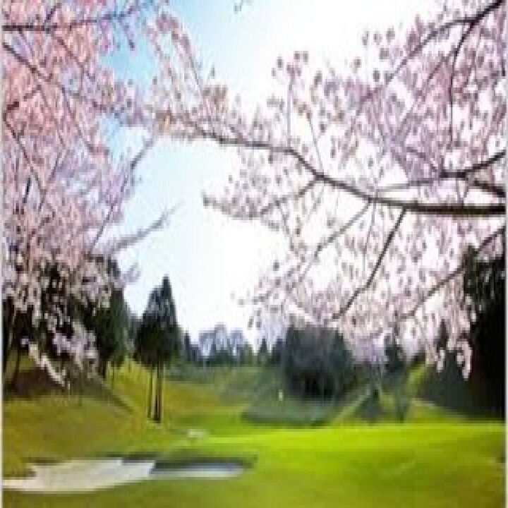 🏌️‍♂️✨【ゴルフをするメリットとは？】🏌️‍♀️✨