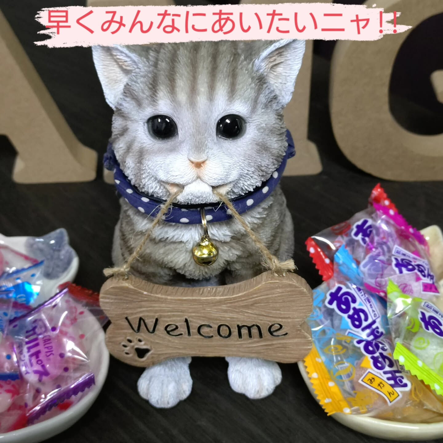 ⛳️【Golf Studio AMGで快適ゴルフをサポート✨