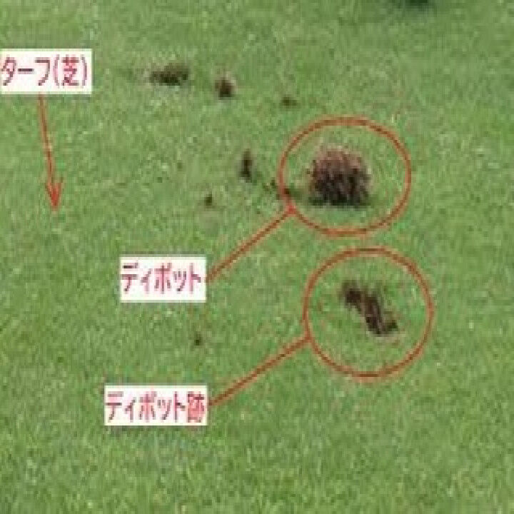 【ディボットとは：マナー】