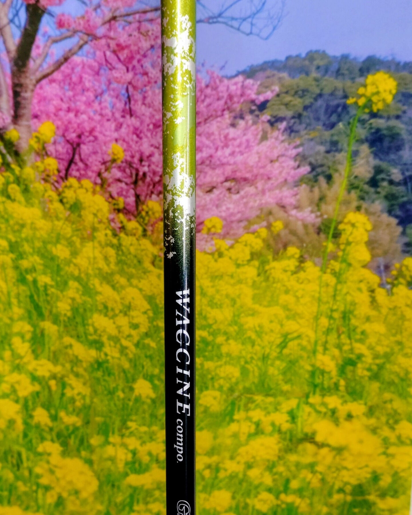 【クラブ組立】⛳✨