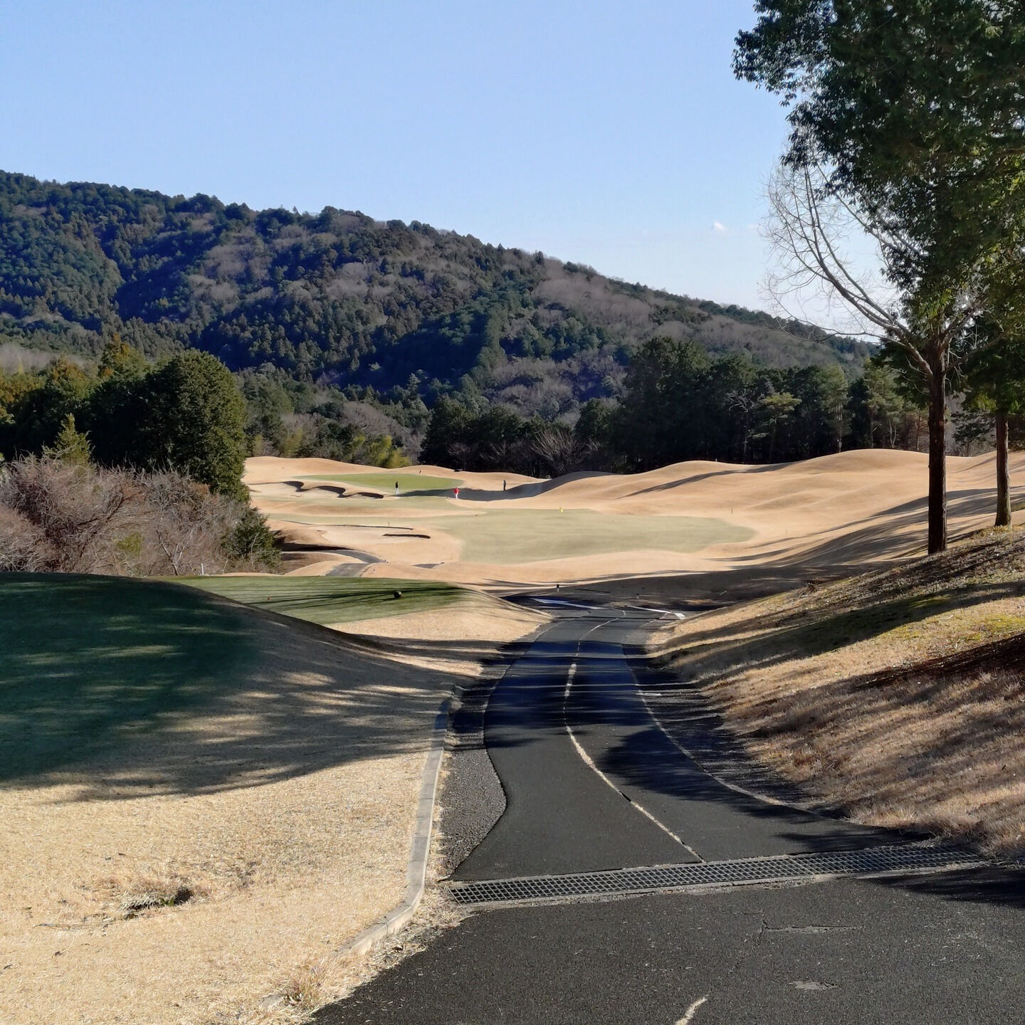 【🏌️‍♂️石岡ウエストカントリークラブの魅力🏌️‍♀️】