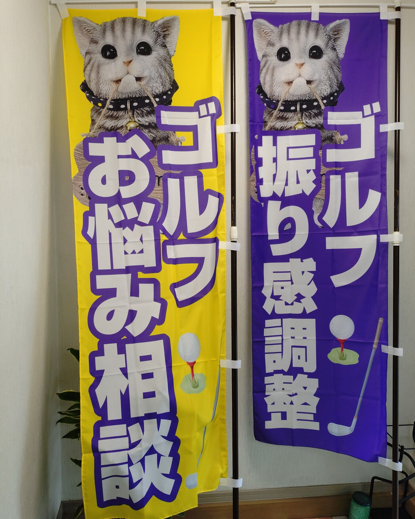 【キラちゃん営業活動中】