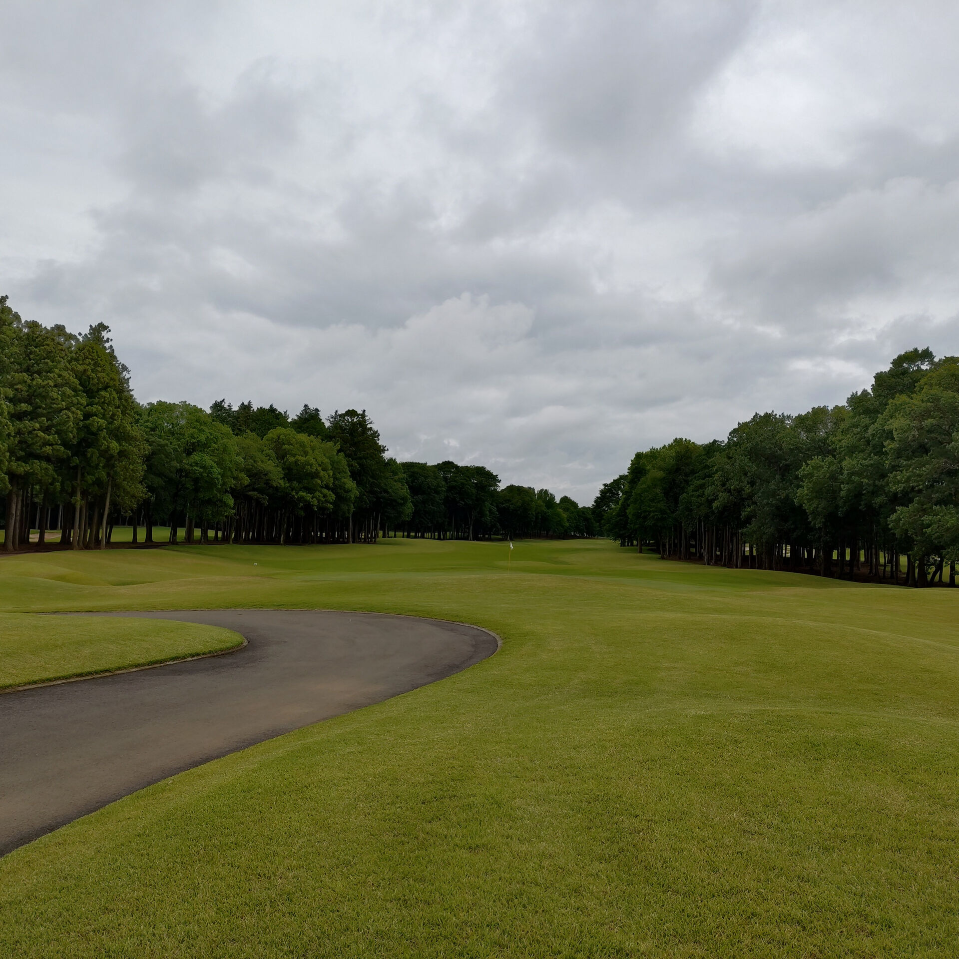 すばらしい一日⛳️