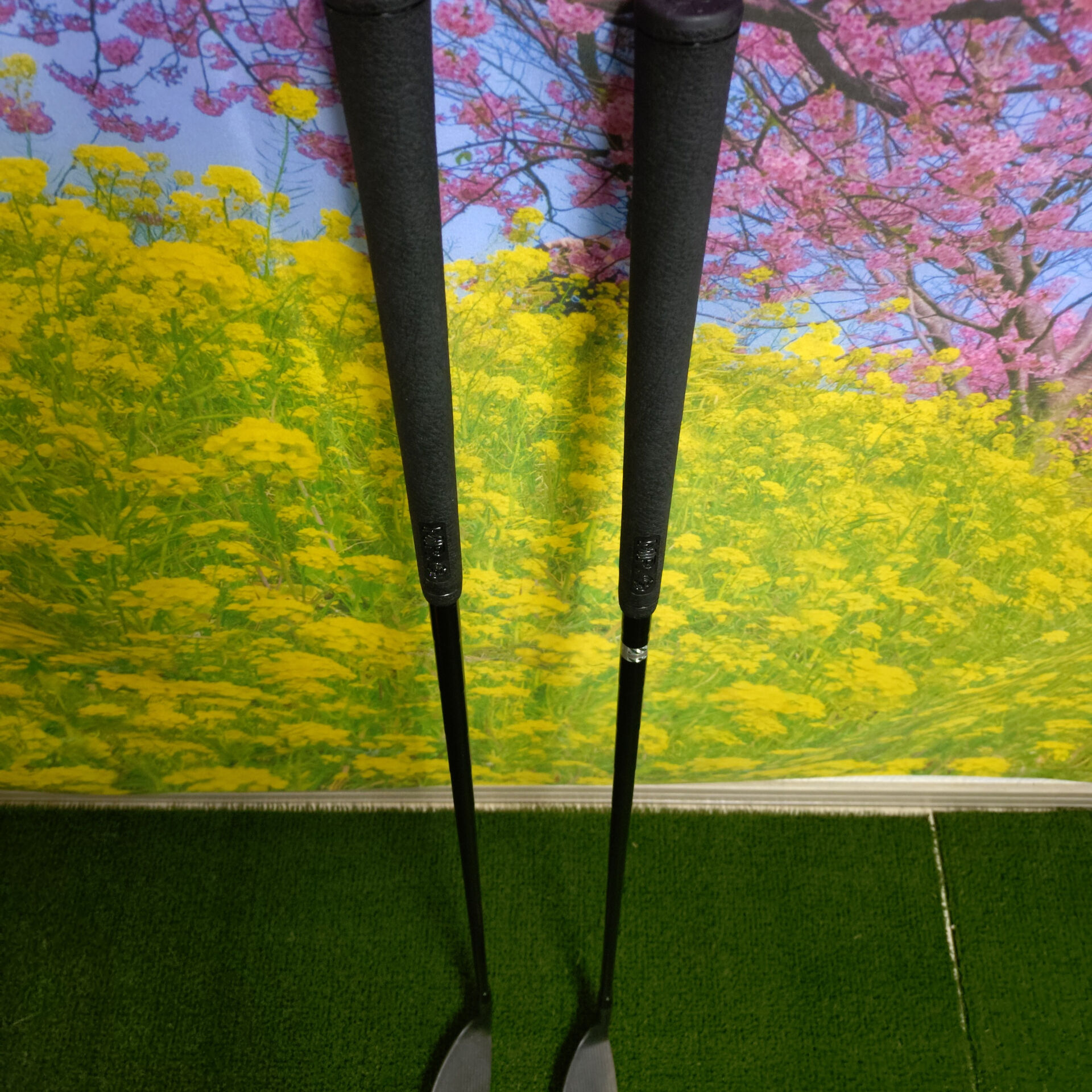 新しい相棒、登場！🎉