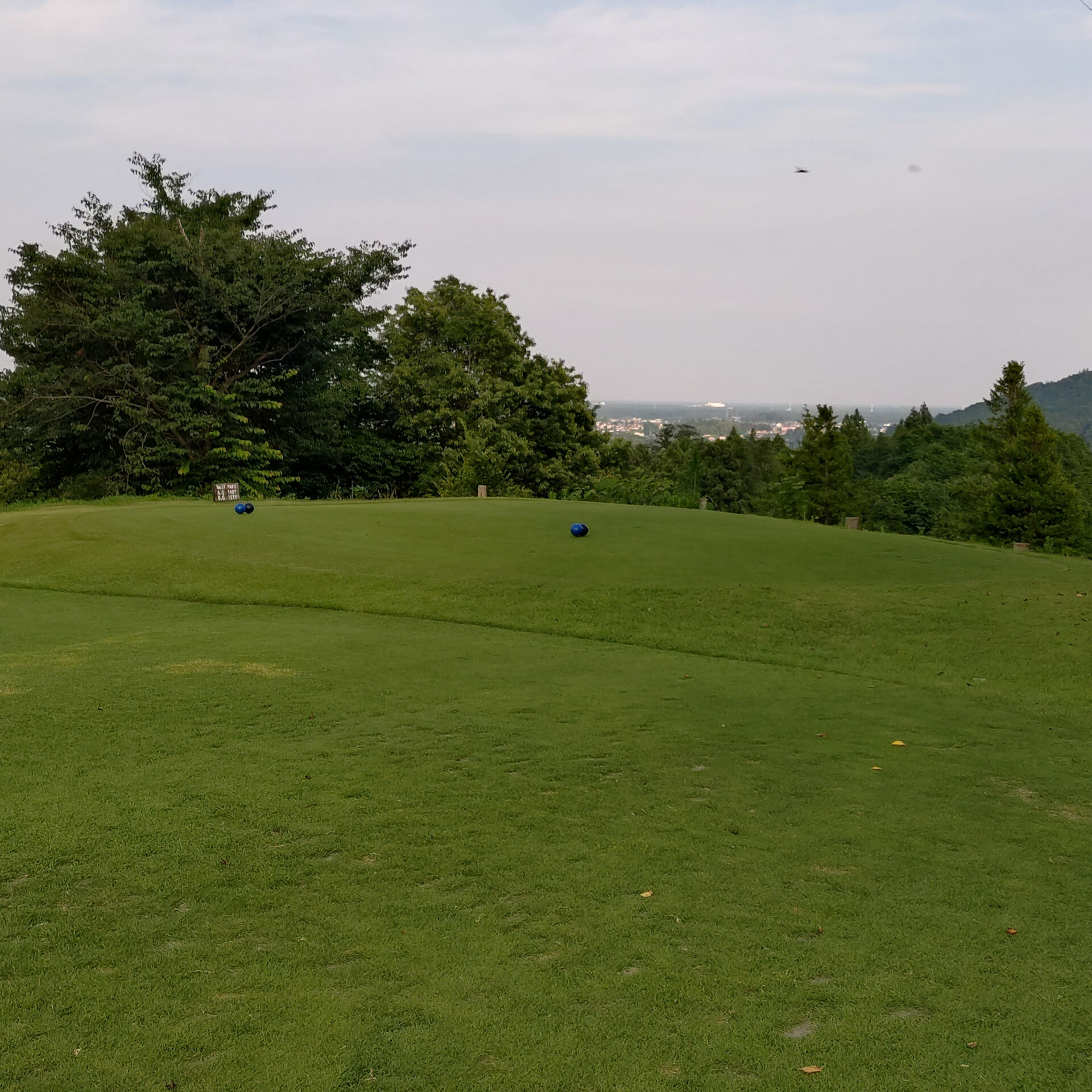 ラウンド調整してきました⛳️