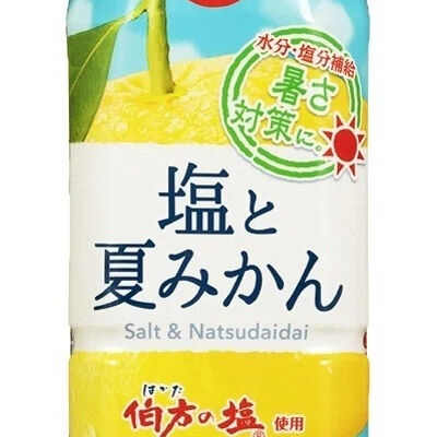 夏を満喫しよう☀️