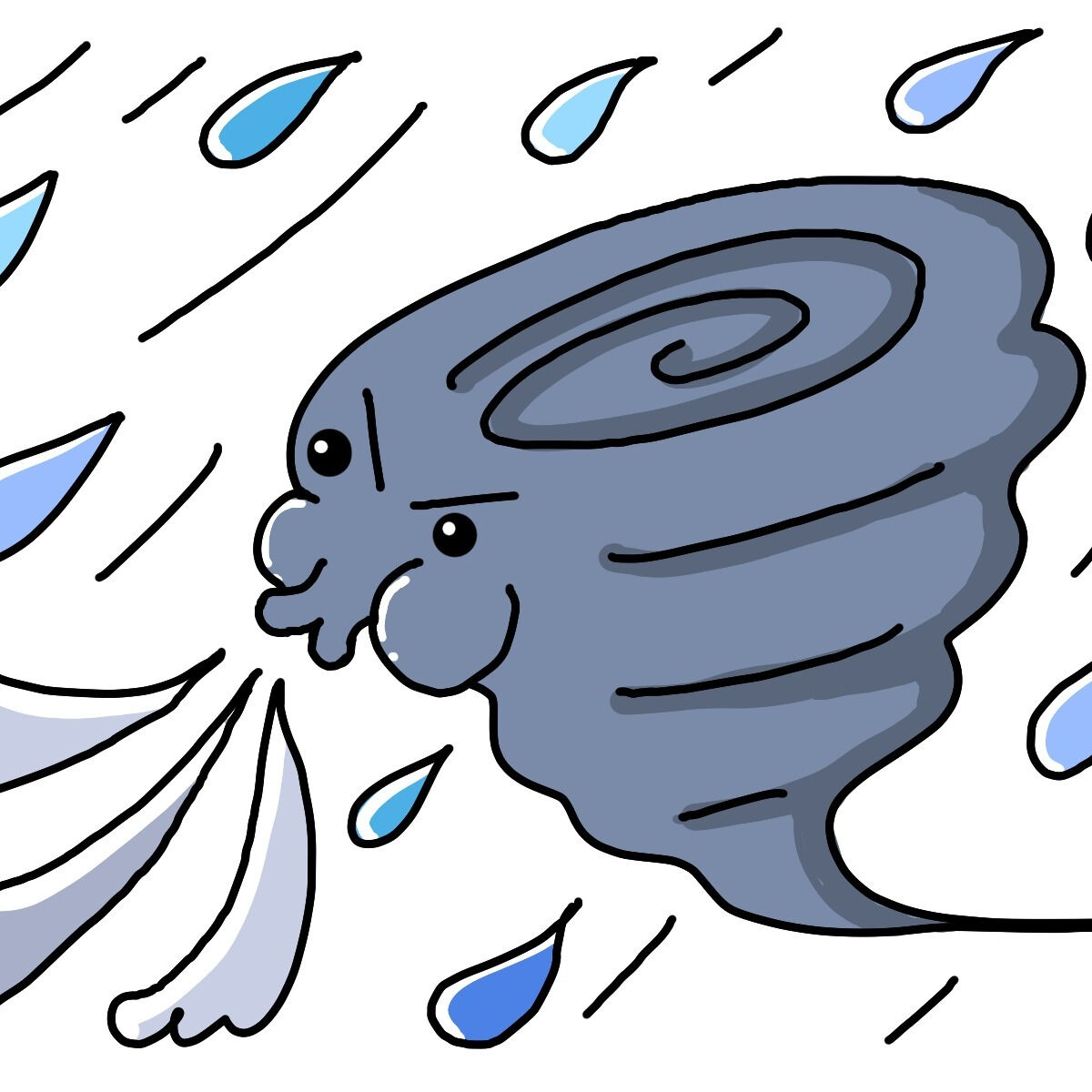 台風が来ますね🌧️