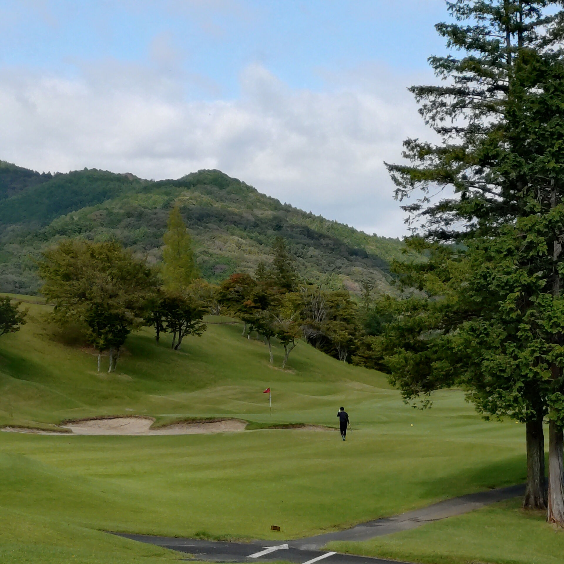 【ラウンド調整してきました⛳️】